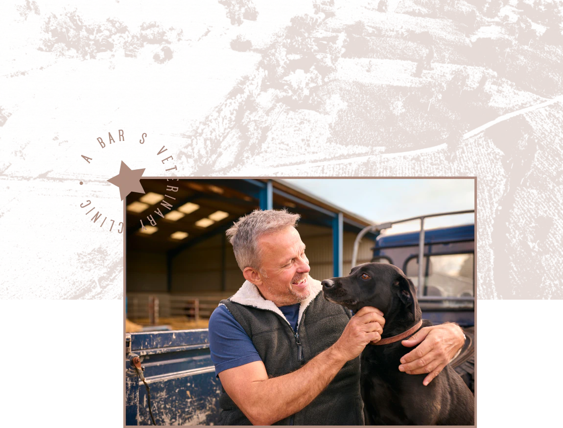 A smiling man in a fleece vest hugs a black Labrador beside a livestock trailer