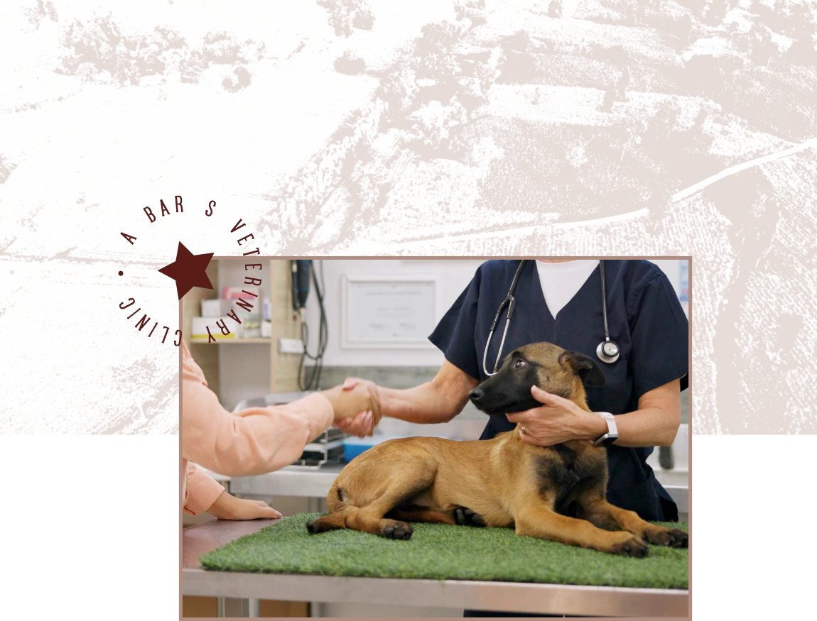 A veterinarian shakes a client’s hand while steadying a young shepherd puppy on the exam table