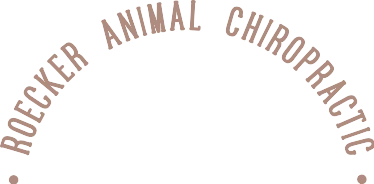 Roecker Animal Chiropractic